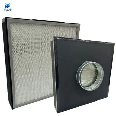Filtre HEPA monté au plafond
